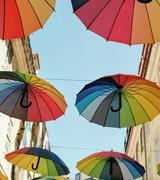 Pink Street in Lisbon Placeholder3